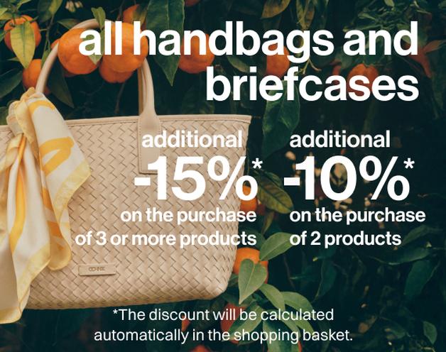 all handbags and briefcases