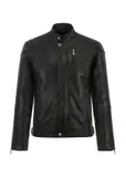 Men's leather jacket with stand-up collar KURMS-0293-1311(W23)