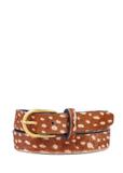 Women's leather belt PASDS-0333-1E(Z26)