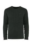 Green men's cotton sweater SWEMT-0148-54(Z24)