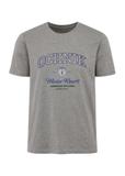 Gray men's t-shirt with print TSHMT-0111-91(Z24)