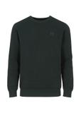 Green cotton men's sweater with logo SWEMT-0135-54(Z23)