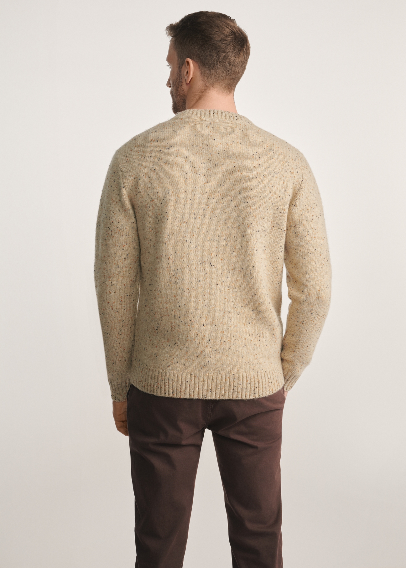 Beige men's sweater SWEMT-0173-24(Z25), product view from the back on the model, half of the silhouette visible.