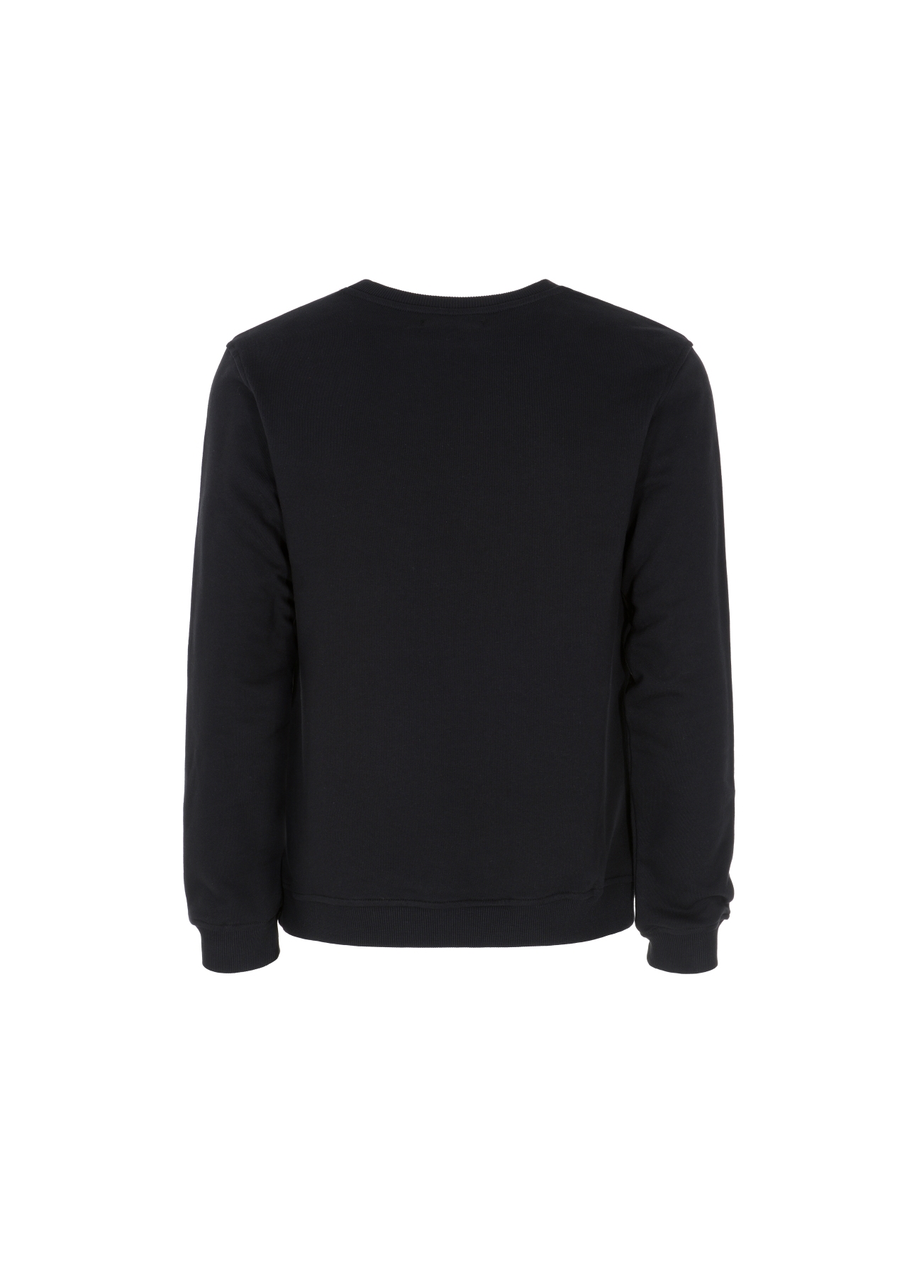 Bluza męska BLZMT-0045-99(W22)-04