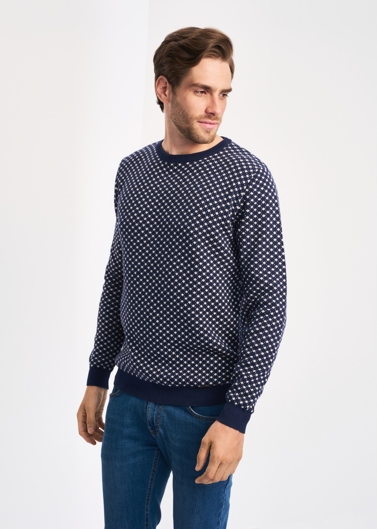 Men's Sweater SWEMT-0117-69(Z22)-02