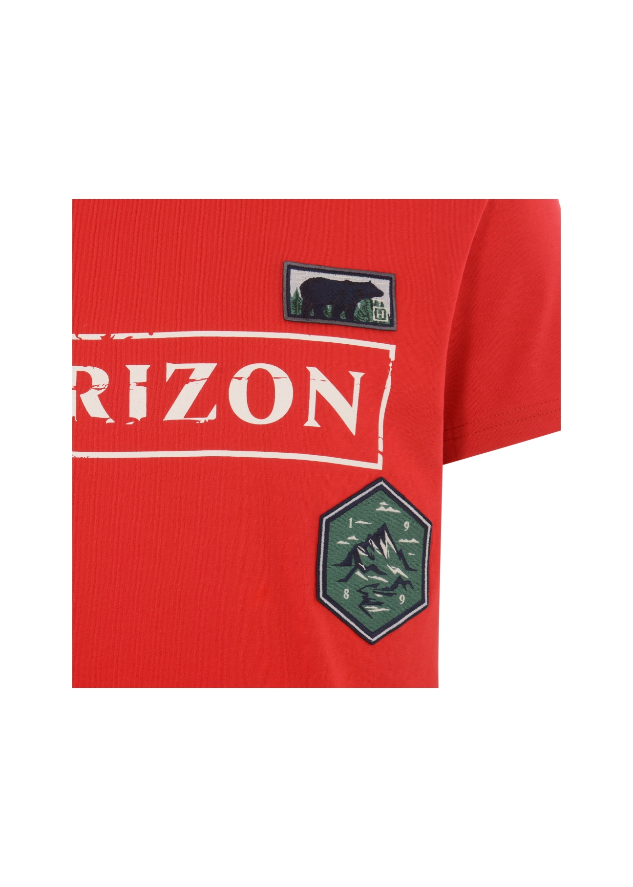 Men's T-shirt TSHMT-0056-42(W21)-04