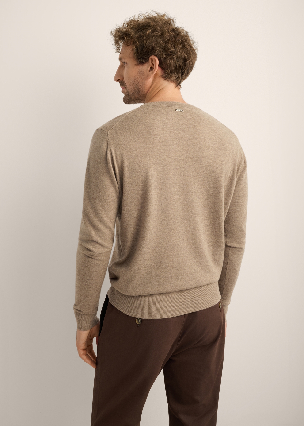 Men's camel-colored wool sweater SWEMT-0200-1D(Z26). Back view of the product on a model. Half-body view.