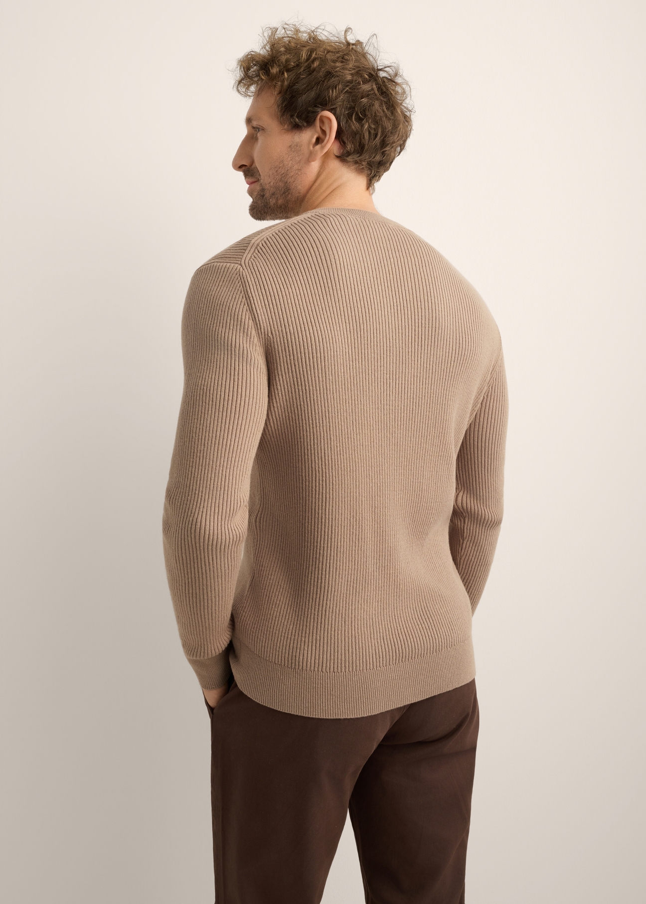 Men's camel-colored wool sweater. Light brown men's sweater SWEMT-0202-1K(Z26). Back view of the product on a model. Half-body view.
