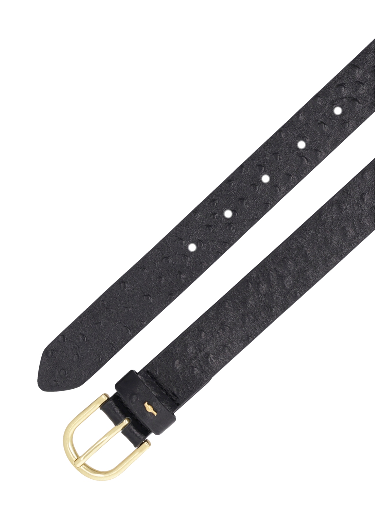 Black women's leather belt PASDS-0333-9P(Z26), top view of the product on a white background.