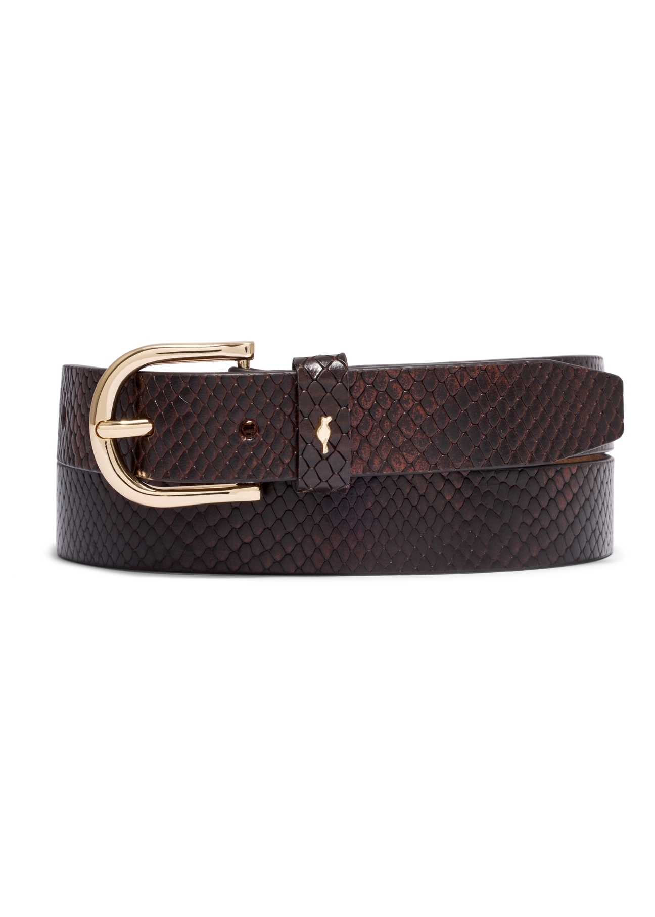 Brown women's leather belt PASDS-0333-1P(Z26) – front view of the product on a white background.