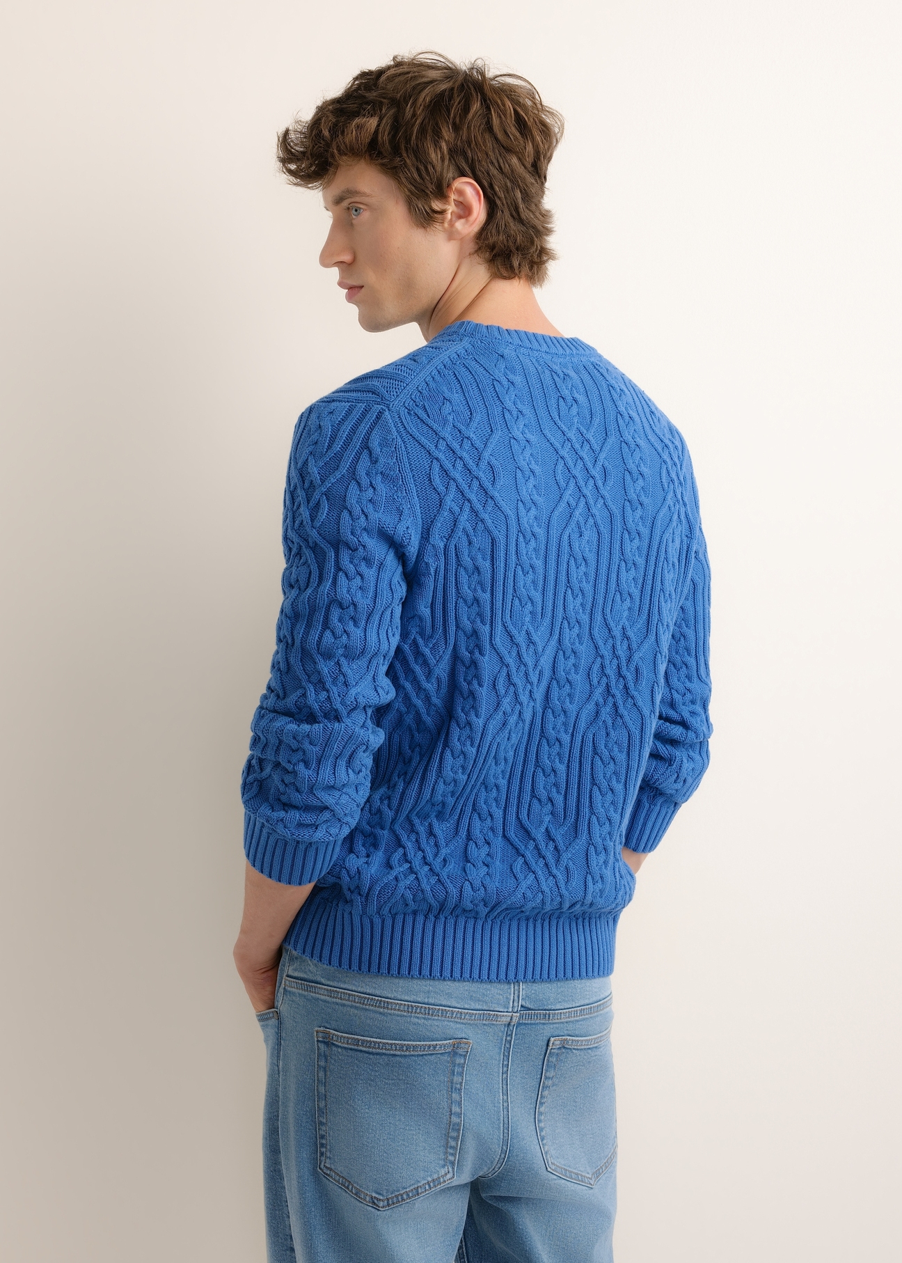 Dark blue men's sweater with decorative weave SWEMT-0205-7C(Z26), back view of the product on the model. Half of the silhouette visible.
