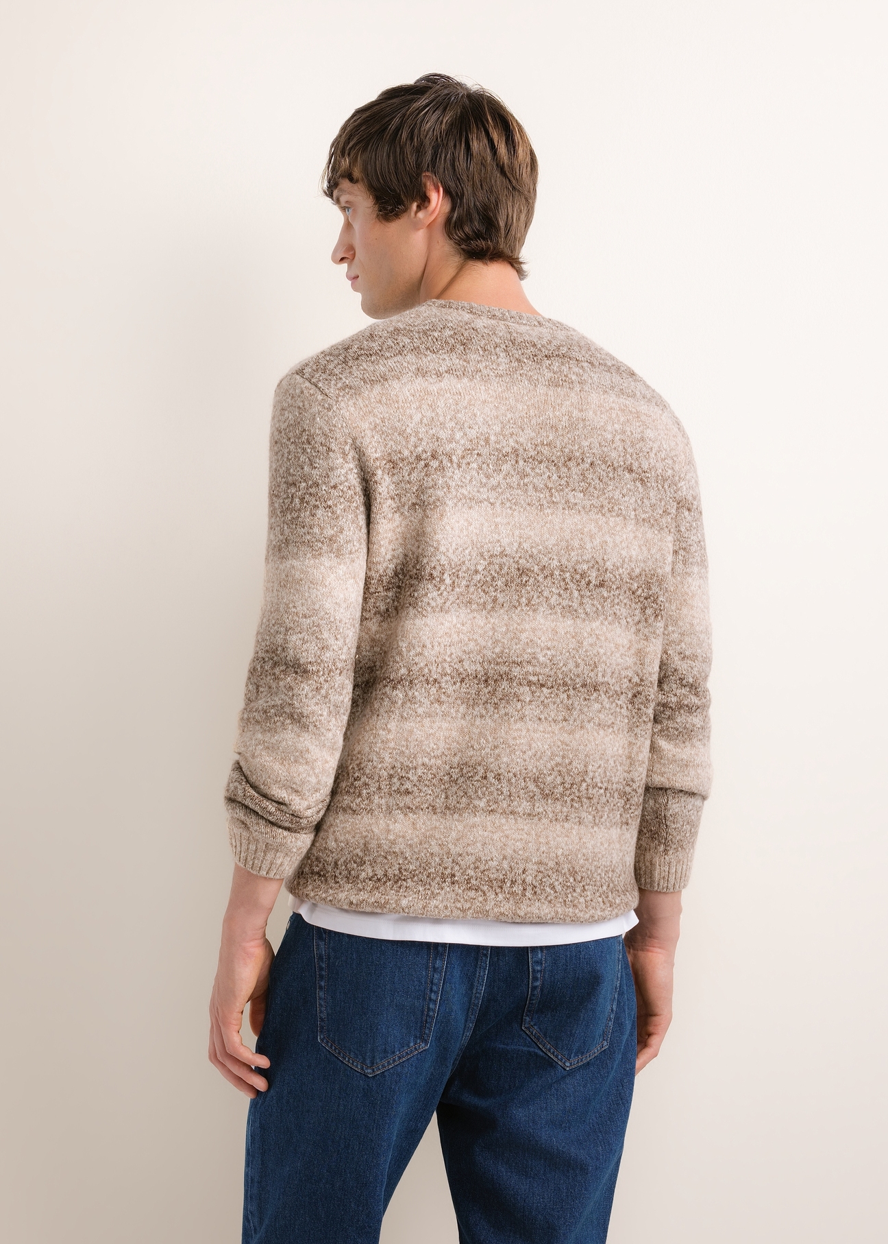 Men's brown striped sweater SWEMT-0219-1I(Z26), back view on a model. Half-body shot.