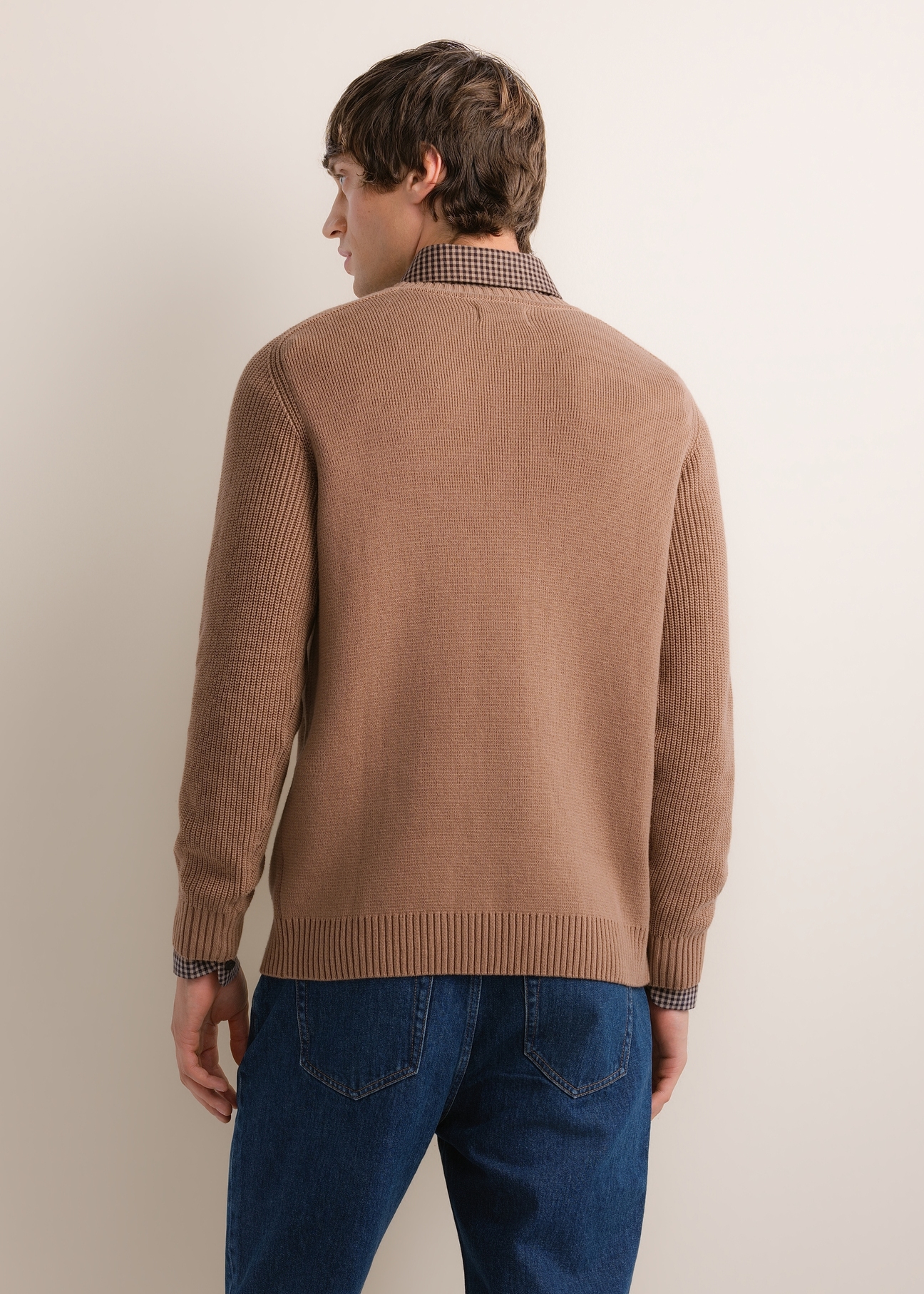 Men's cotton sweater in cool beige SWEMT-0208-1K(Z26), product view from the back on the model. Half of the silhouette visible.