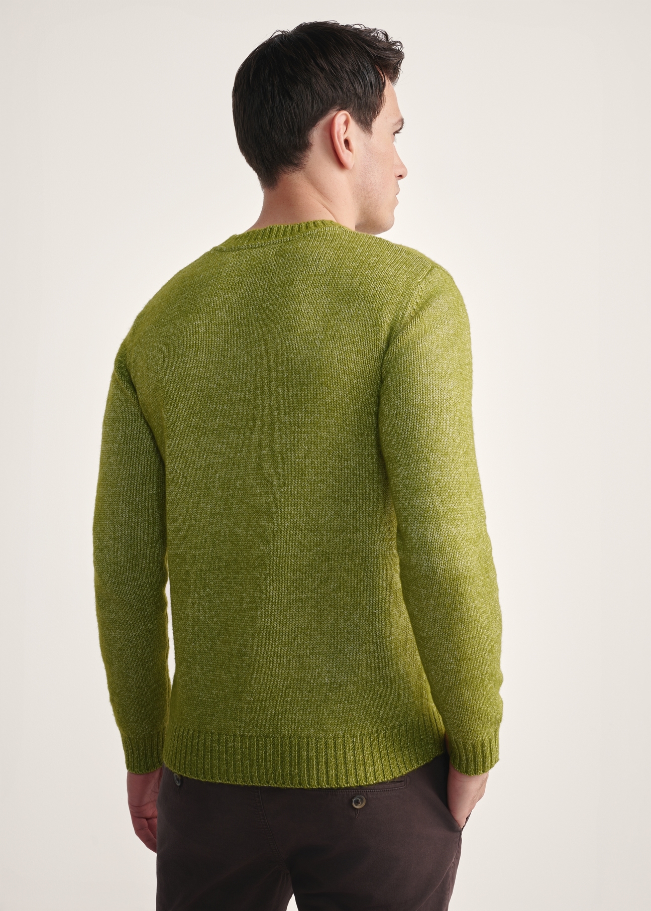 Lime men's sweater SWEMT-0170-84(Z25), product view from the back on the model. Half of the silhouette visible.