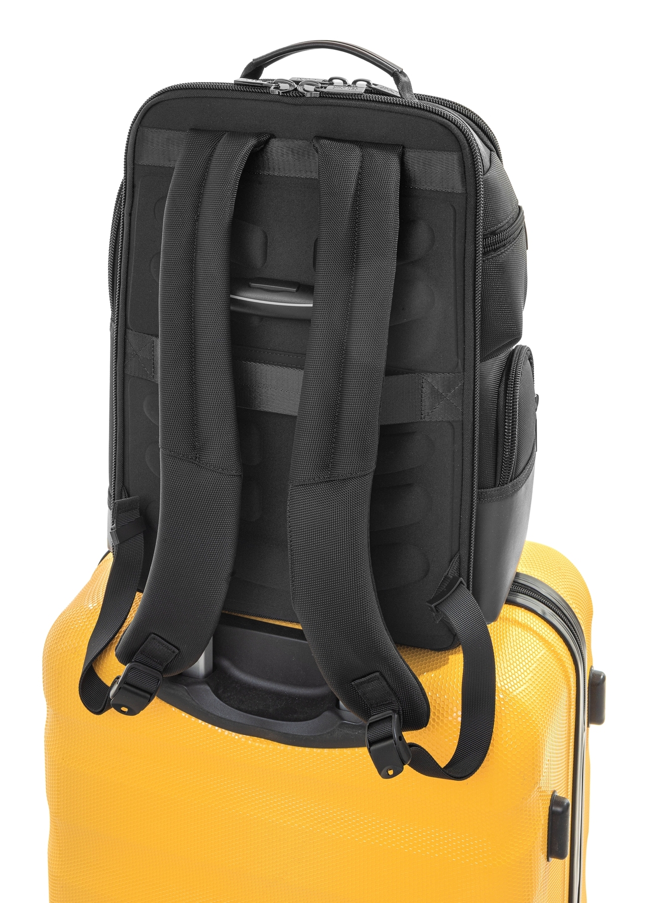 Black spacious men's backpack TORMN-0378-98(Z25), product view from the back on a suitcase on a white background.