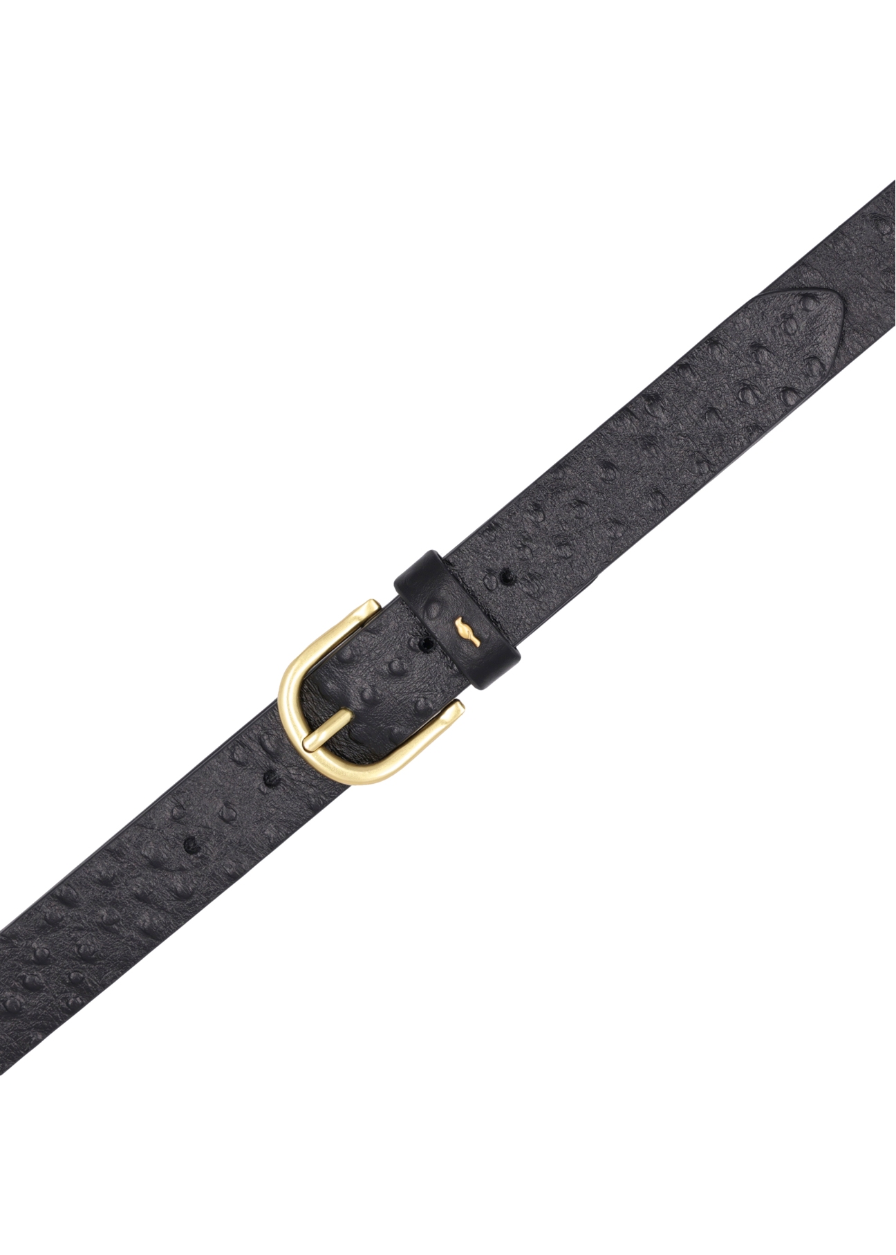 Black women's leather belt PASDS-0333-9P(Z26), top view of the product on a white background.