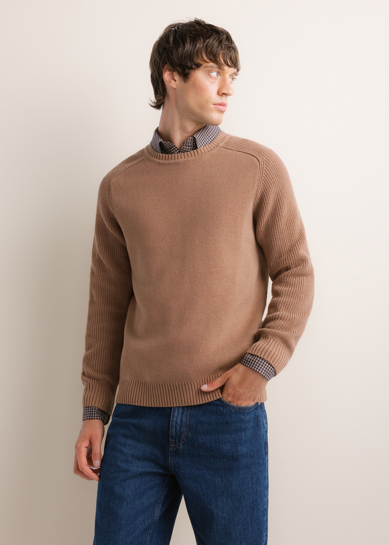 Men's cotton sweater in cool beige SWEMT-0208-1K(Z26), front view of the product on the model. Half of the silhouette visible.
