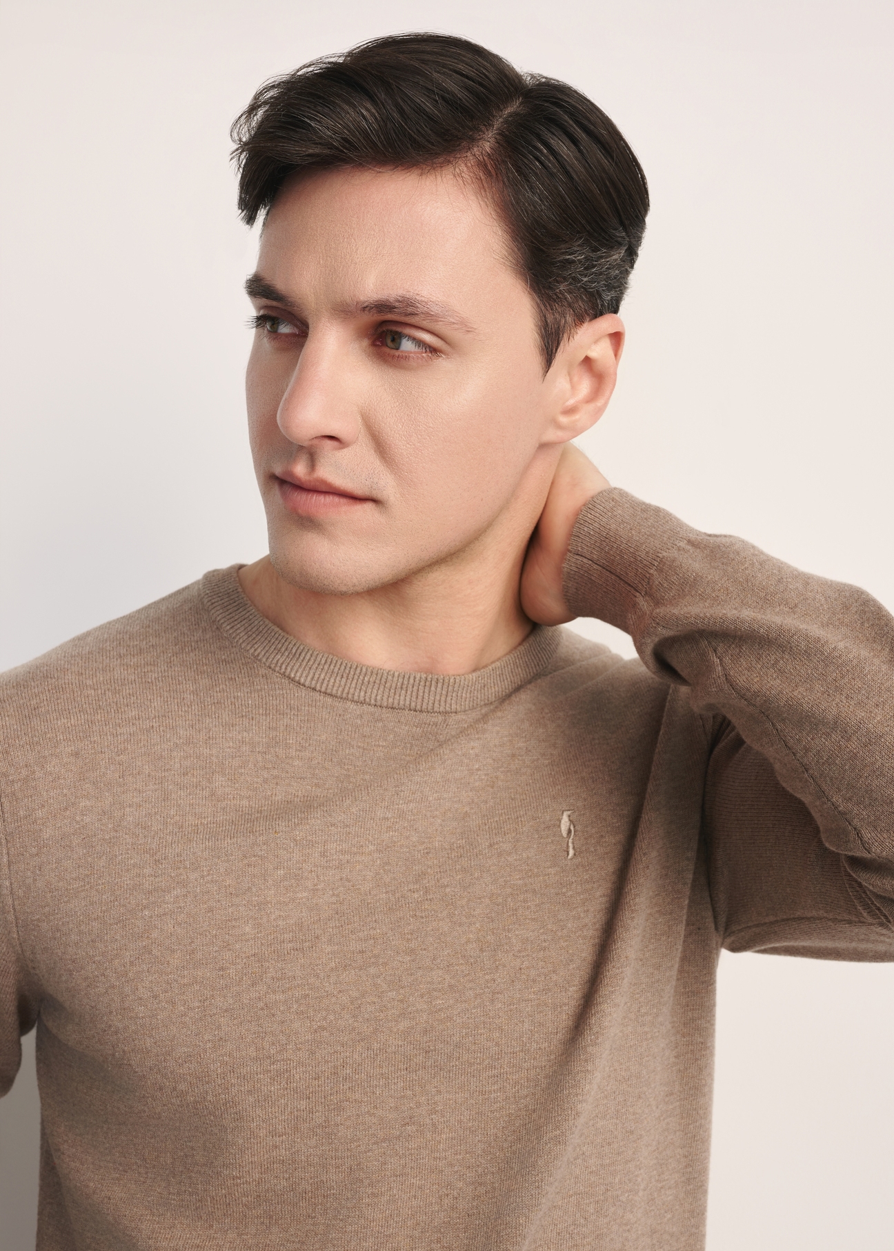 Camel cotton men's sweater SWEMT-0114A-24(Z25), product visible from the front on the model, close-up of the sleeves.