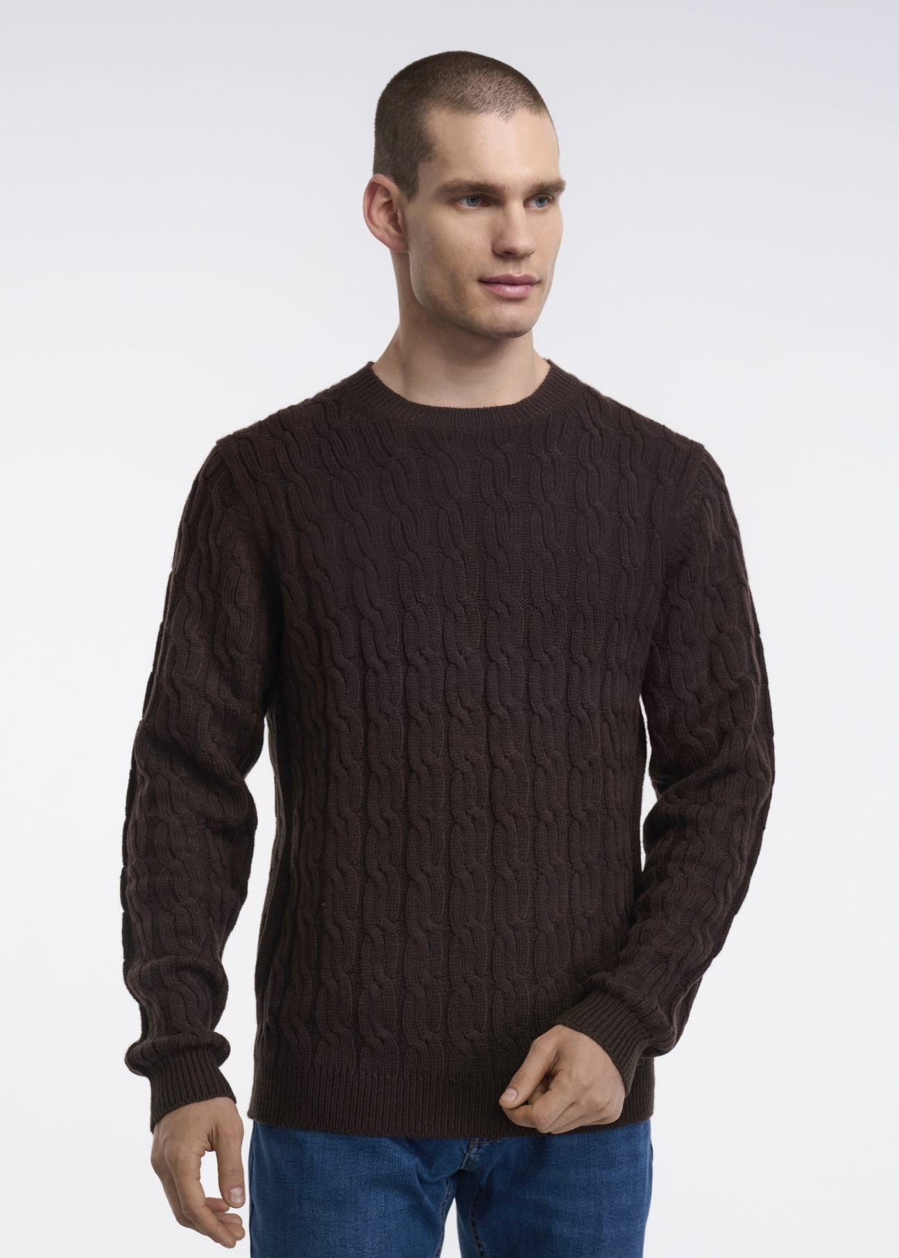 Men's Sweater SWEMT-0097-88(Z22)-01