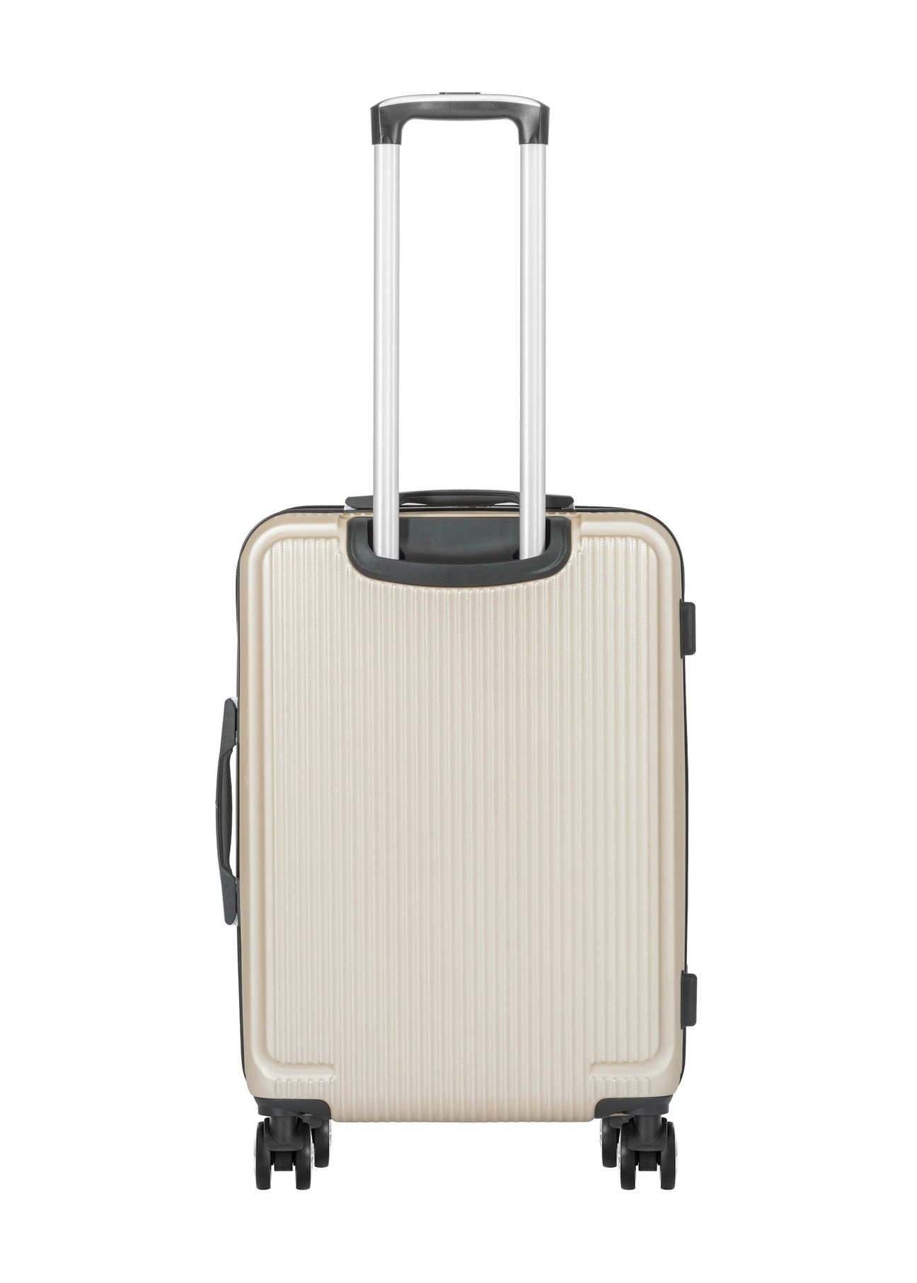 Medium suitcase on wheels WALAB-0053-0X-24(W26), product view from the back on a white background.