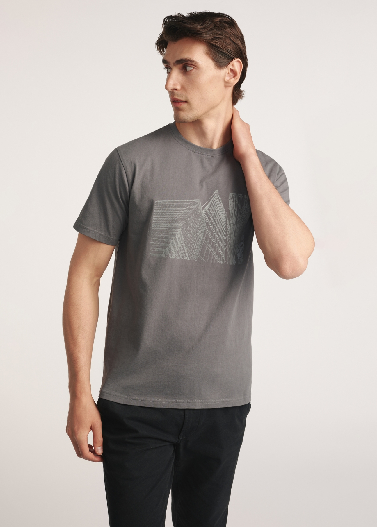 Gray men's T-shirt with print TSHMT-0131-96(Z25) - front view of the product on a model on a white background. Visible silhouette.