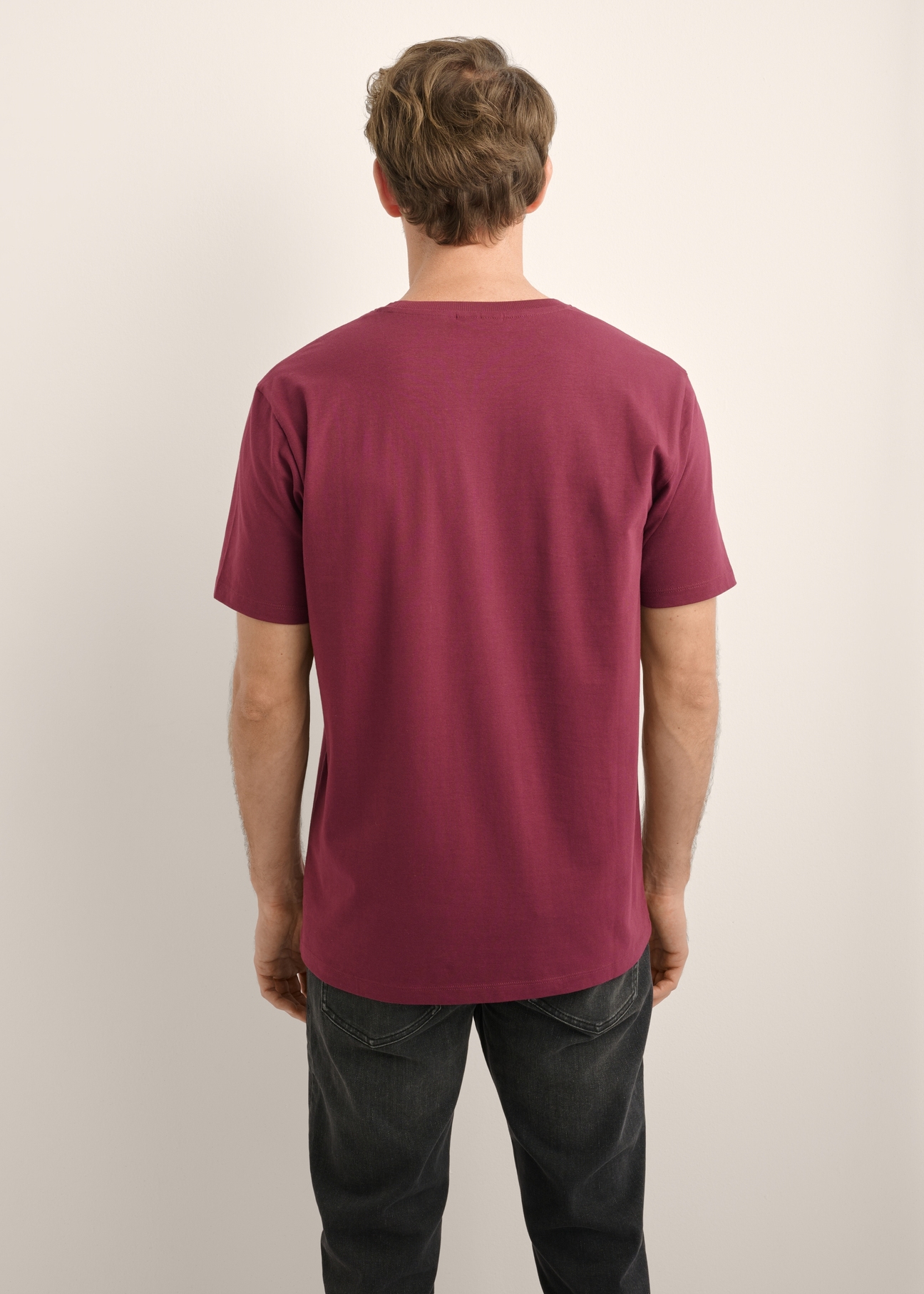 Men's burgundy T-shirt TSHMT-0120-4D(Z26), product view from the back on the model. Half of the silhouette visible.