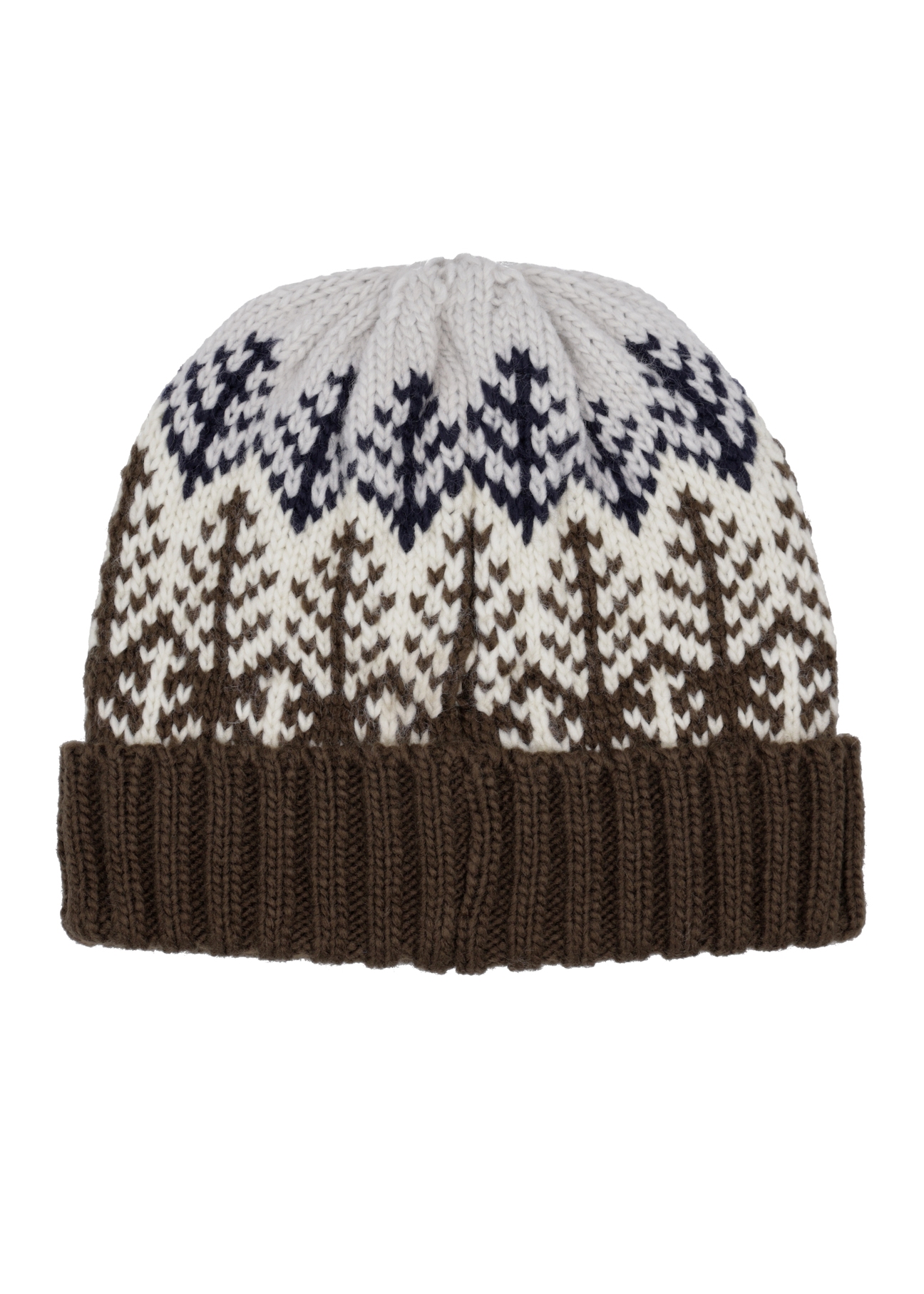 Men's winter hat CZAMT-0096-8P(Z26), rear view on a white background.