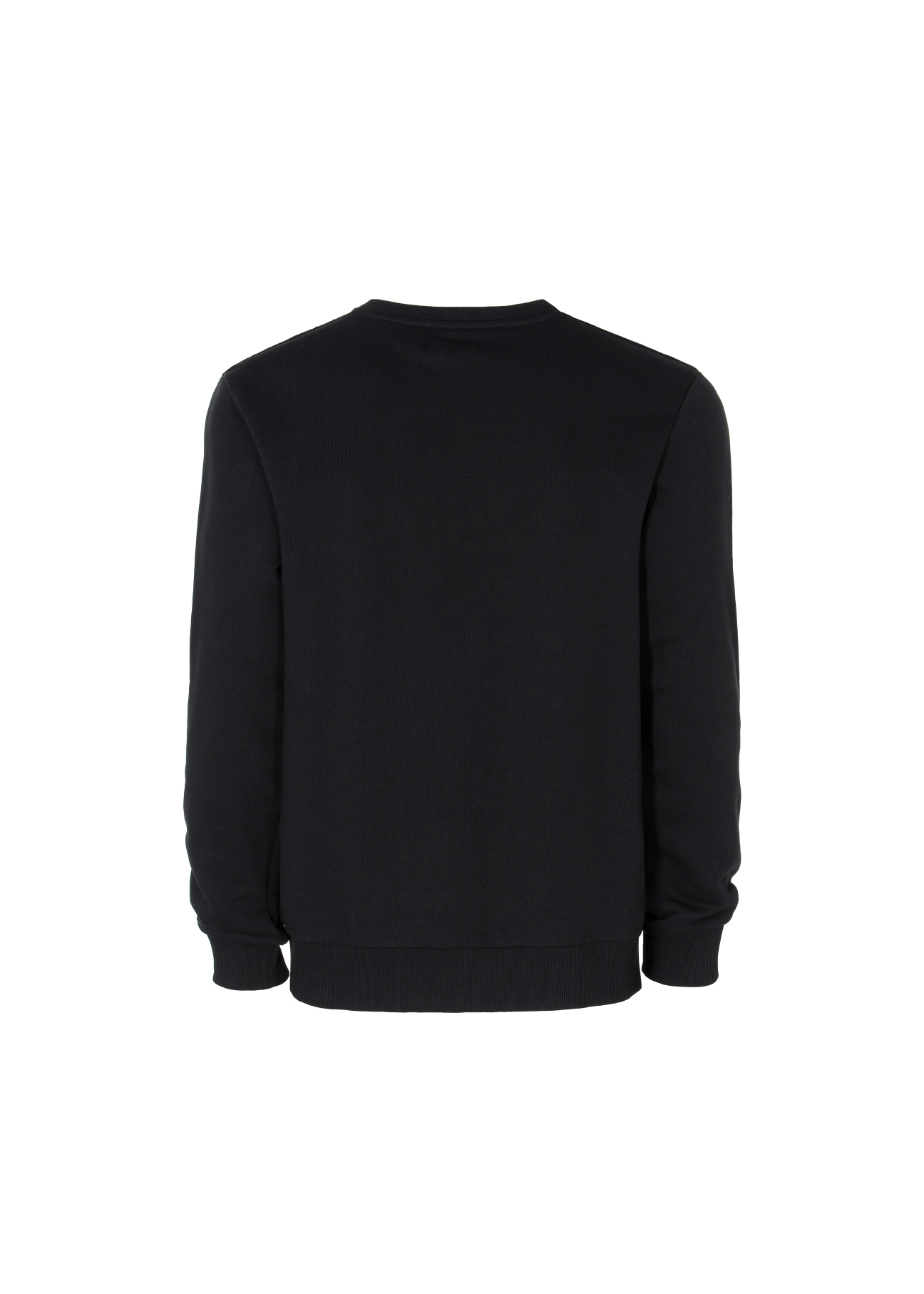 Bluza męska BLZMT-0043-99(W22)-03