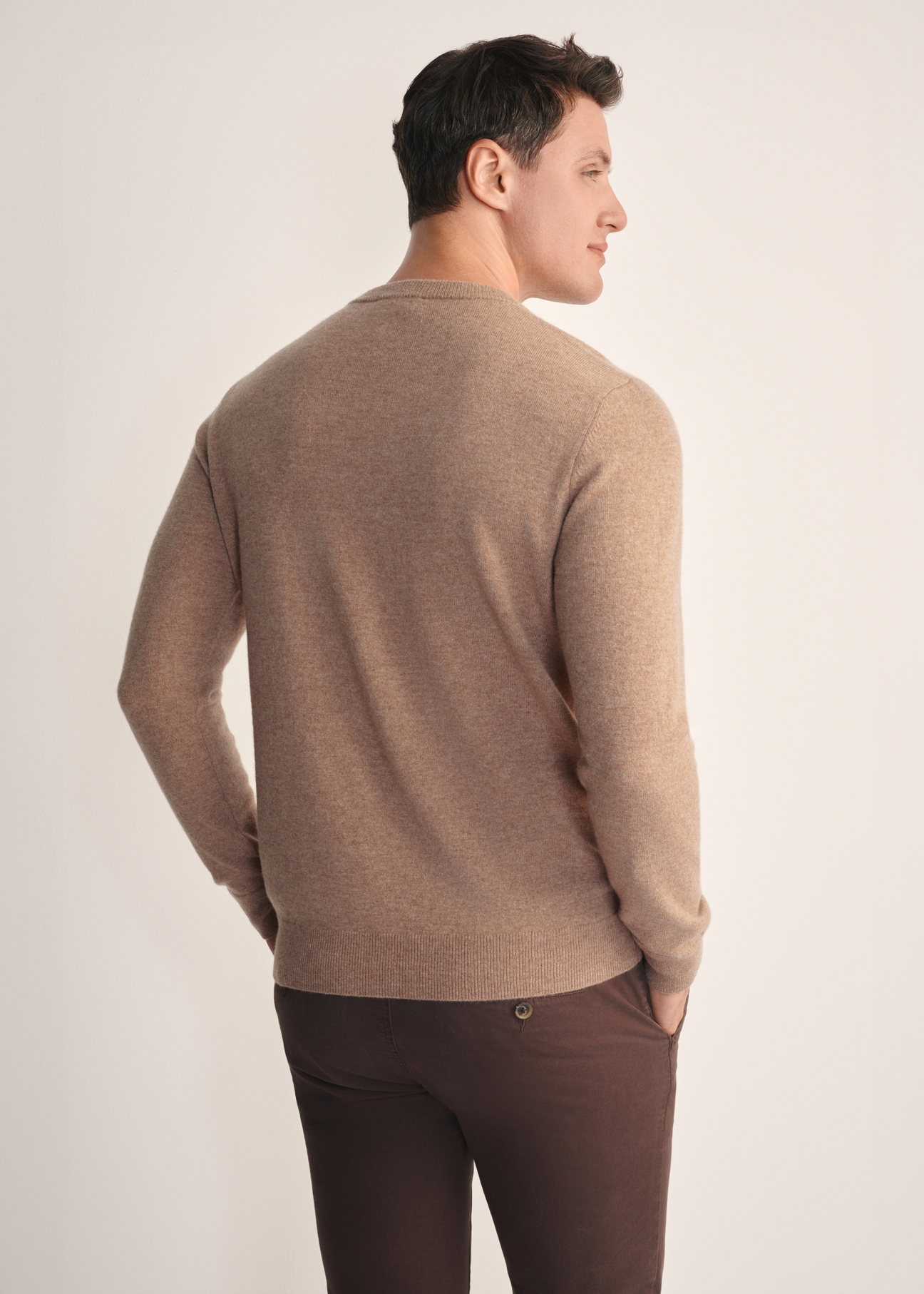 Men's camel sweater SWEMT-0186-24(Z25), back view of the product on the model. Half of the silhouette visible.