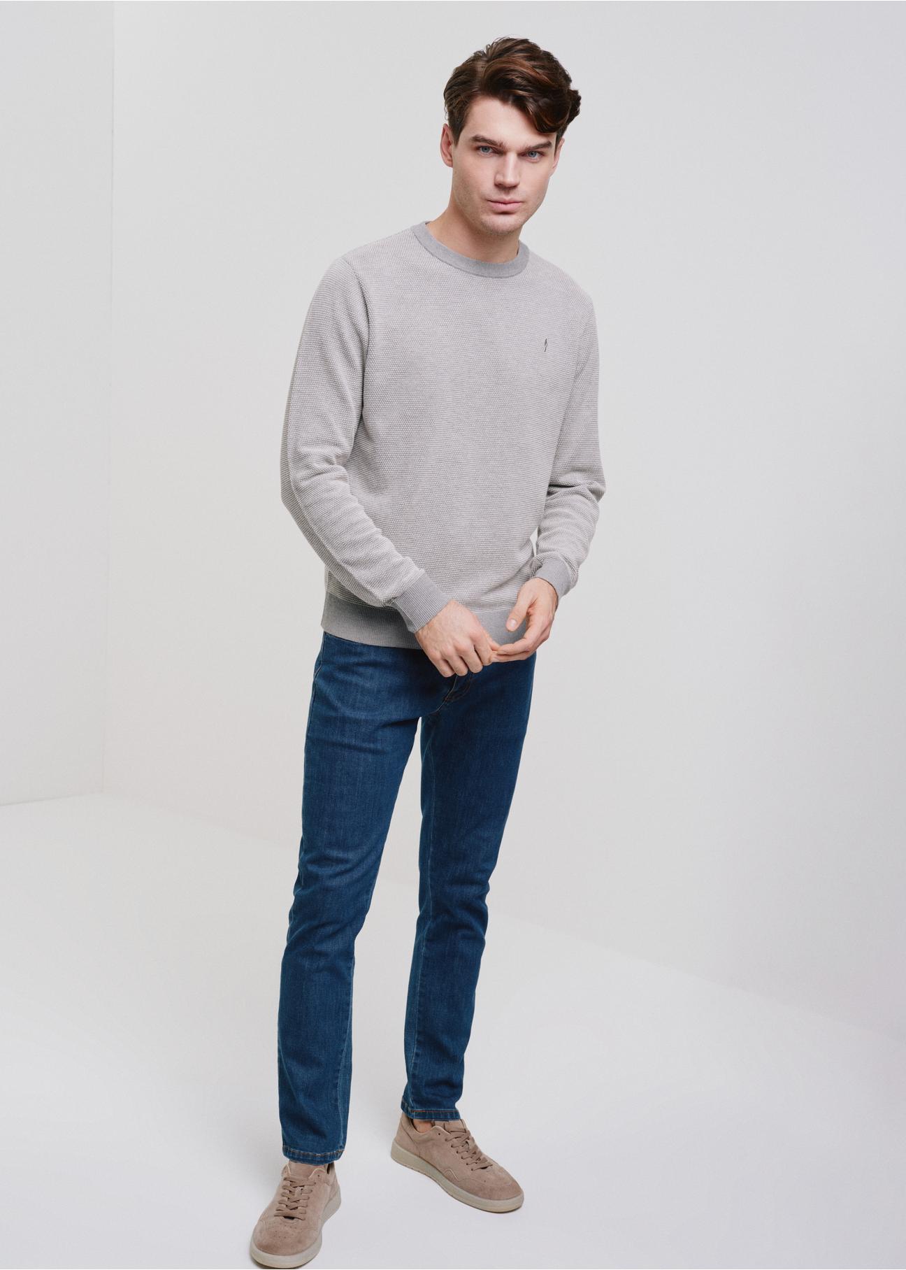 Grey cotton men's sweater SWEMT-0142-91(W24)-04