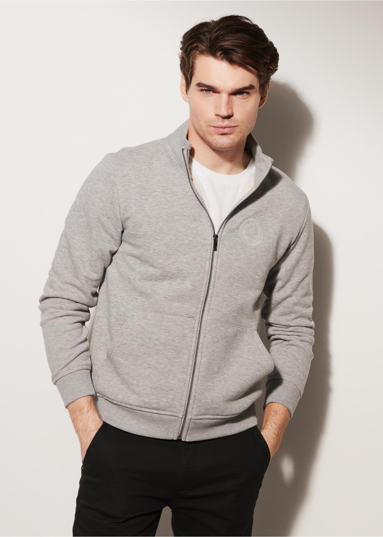 Grey men's zip-up sweatshirt BLZMT-0044-91(W23)-02