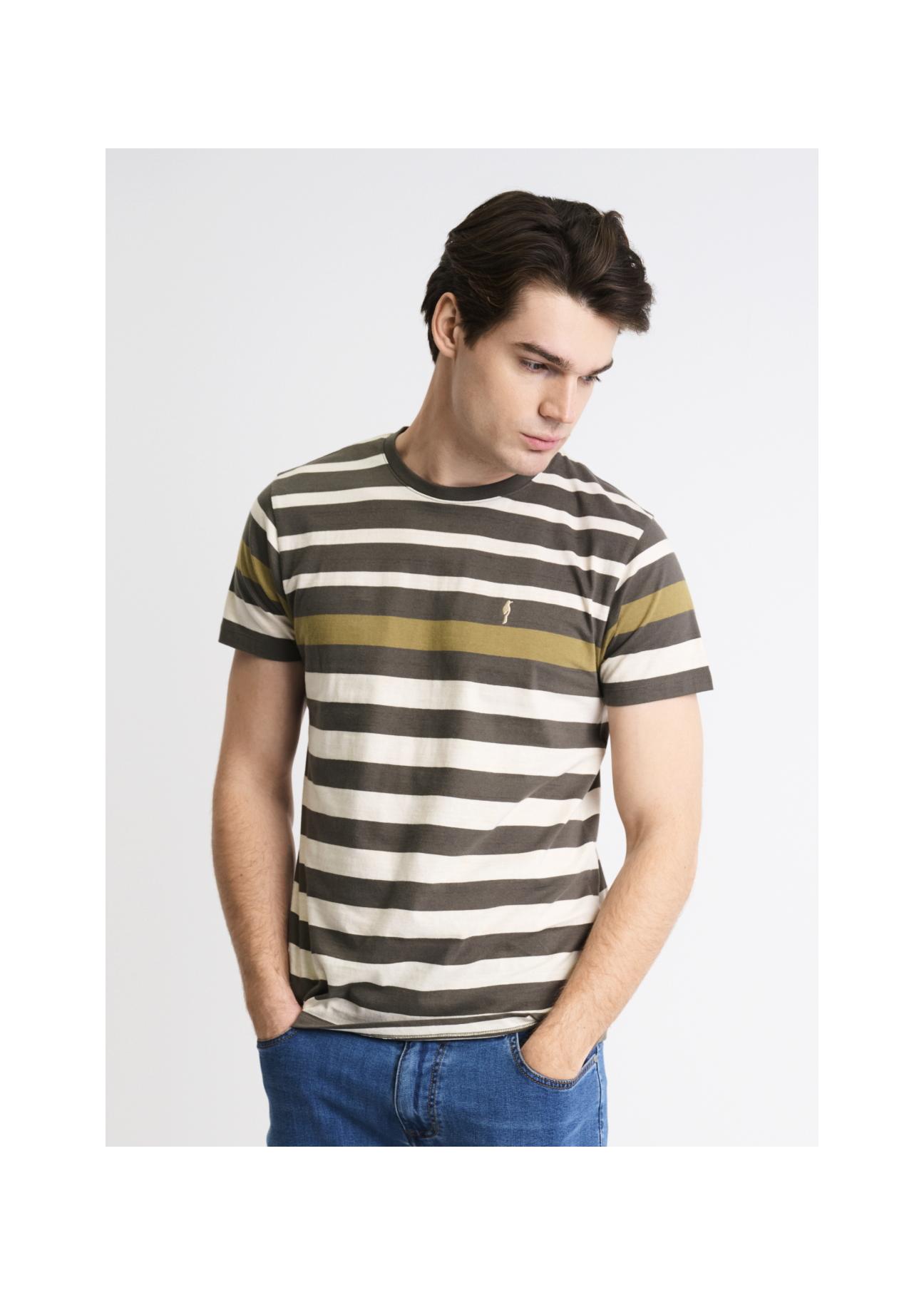 Men's T-shirt TSHMT-0070-55(W22)-01