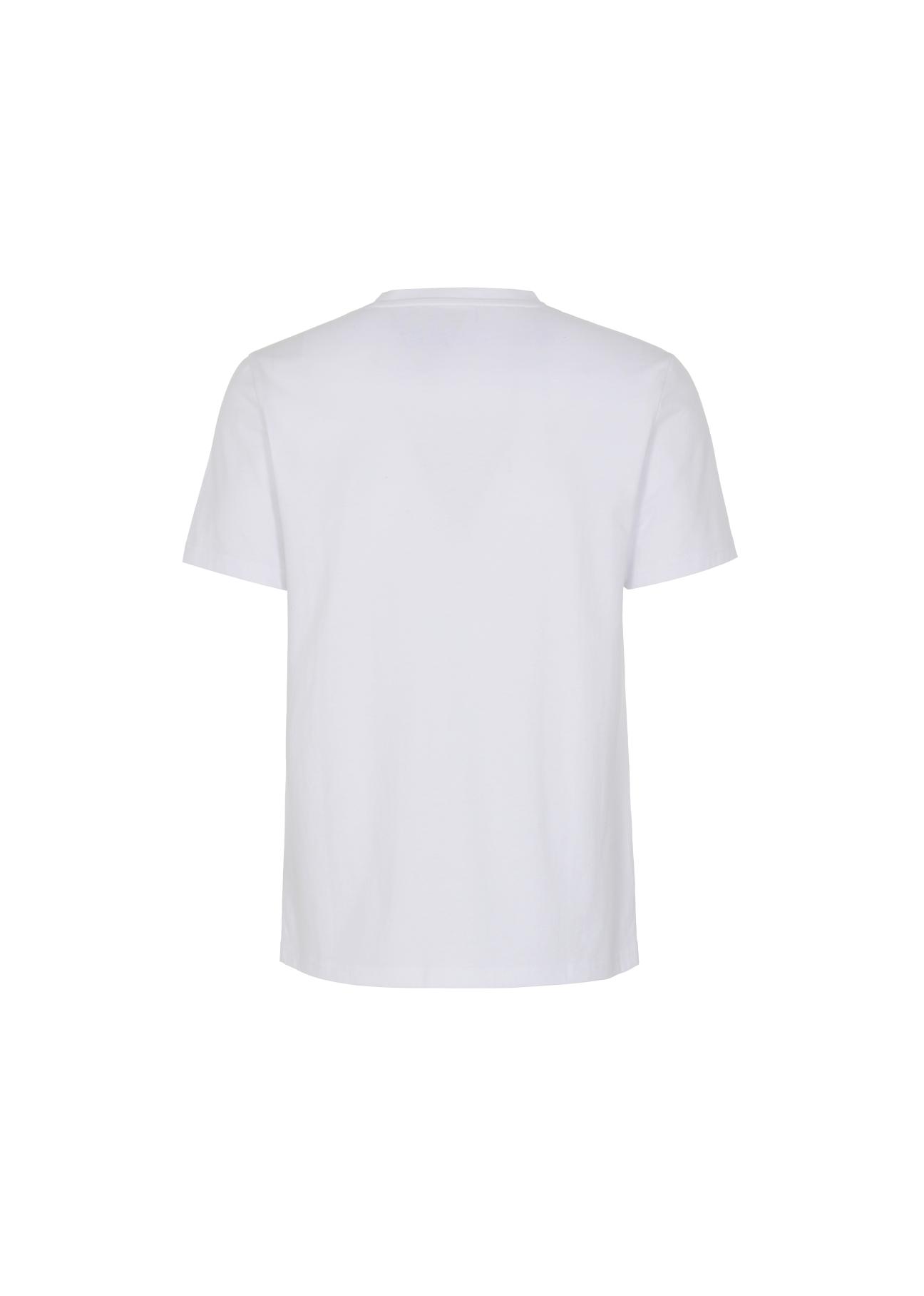 Men's T-shirt TSHMT-0073-11(W22)-04