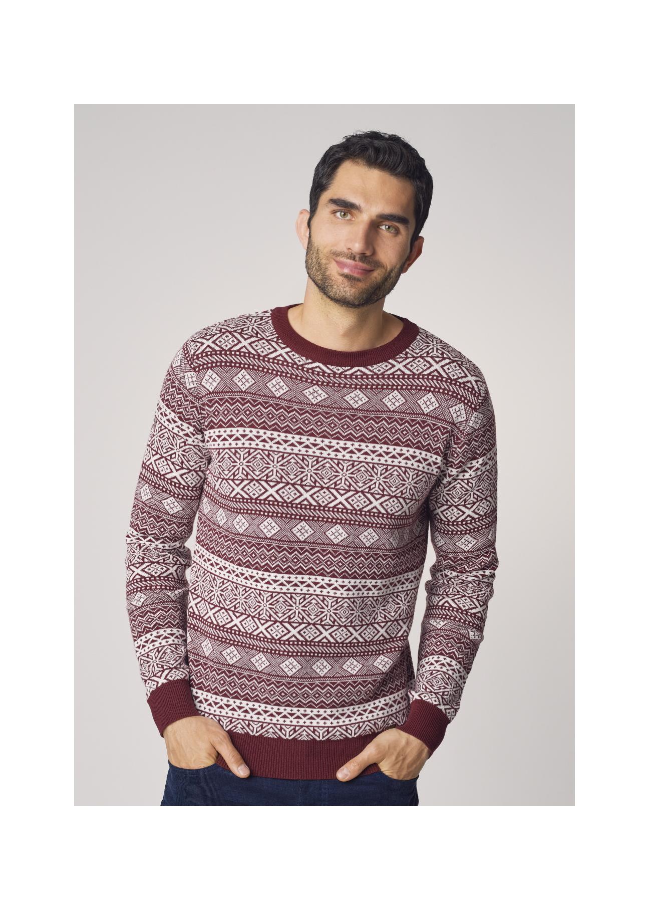 Men's Sweater SWEMT-0096-49(Z21)-01