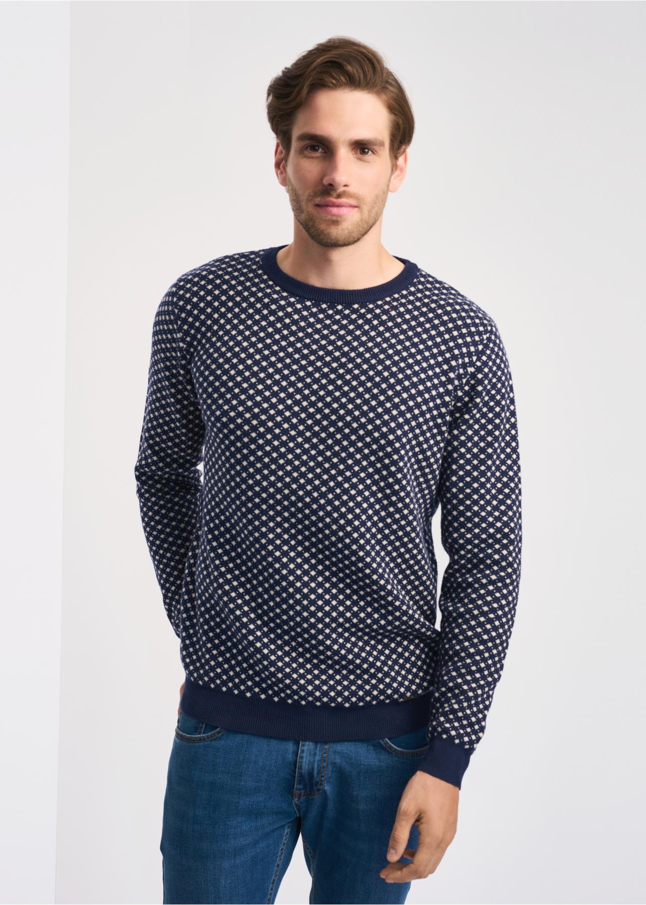 Men's Sweater SWEMT-0117-69(Z22)-01