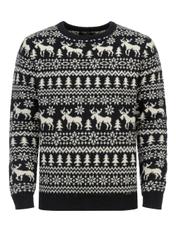 Men's Sweater SWEMT-0120-69(Z22)-04