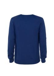 Sweter męski SWEMT-0068-69(W19)-02