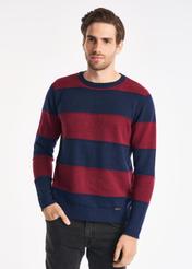 Men's Sweater SWEMT-0119-49(Z22)-01