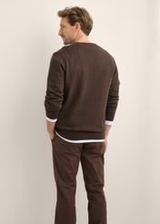 Dark brown men's sweater with logo SWEMT-0159A-1I(Z26), product view from the back on the model. Half of the silhouette visible.