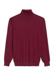 Burgundy men's turtleneck sweater SWEMT-0095B-49(Z25), front product view on white background.