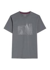 Gray men's T-shirt with print TSHMT-0131-96(Z25) - front view of the product on a white background.