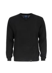 Sweter męski SWEMT-0026-99(Z16)-01