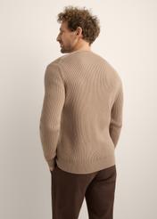 Men's camel-colored wool sweater. Light brown men's sweater SWEMT-0202-1K(Z26). Back view of the product on a model. Half-body view.
