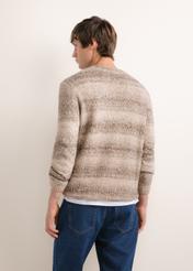 Men's brown striped sweater SWEMT-0219-1I(Z26), back view on a model. Half-body shot.