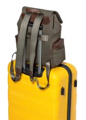 Men's khaki backpack TORMN-0371-55(Z25), product view from the back on the suitcase, view on a white background.