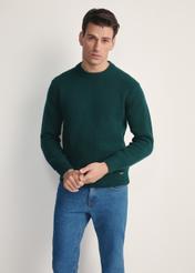 Dark green men's sweater SWEMT-0172-54(Z25), front product view on the model. Half of the silhouette visible.