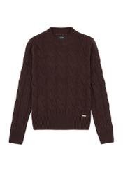 Chocolate women's sweater with decorative weave SWEDT-0210-90(Z25), front product view on white background.