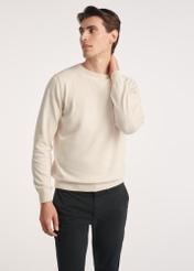 Beige men's cotton sweater SWEMT-0114A-1A(Z26), front product view on model. Half silhouette visible.