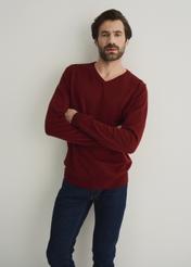 Sweter męski SWEMT-0081-49(W22)-02