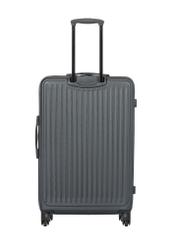 Large suitcase on wheels WALAB-0082-99-29(W26), product view from the back on a white background.